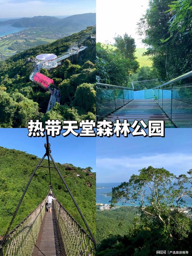 无坑+高性价比解锁你的海岛度假新体验澳门新葡京网页三亚导游深度推荐：纯玩(图1)
