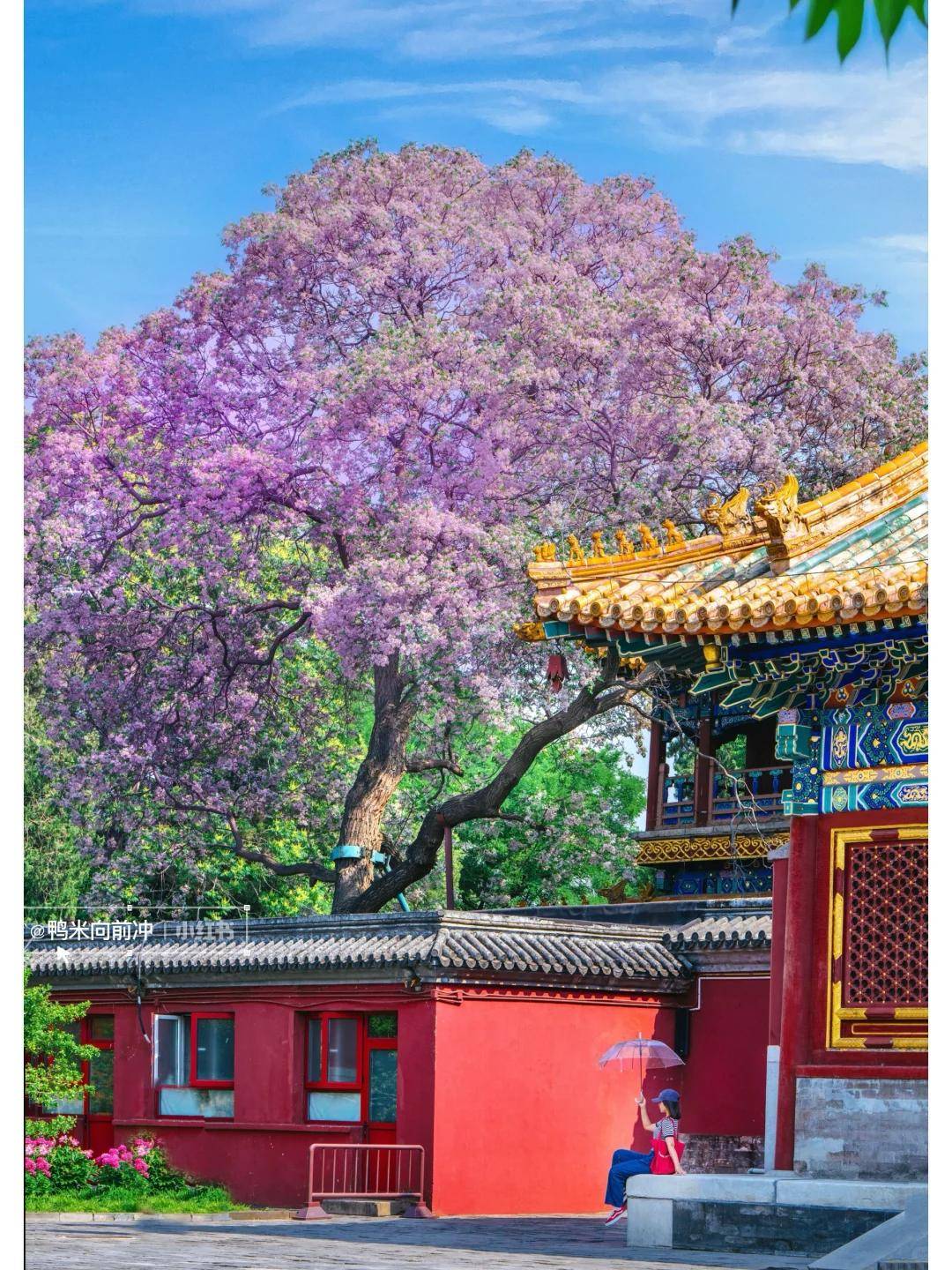 P10大揭秘让咱不花冤枉钱旅行一路开挂澳门新葡京网页别再乱选！北京旅行社TO(图3)