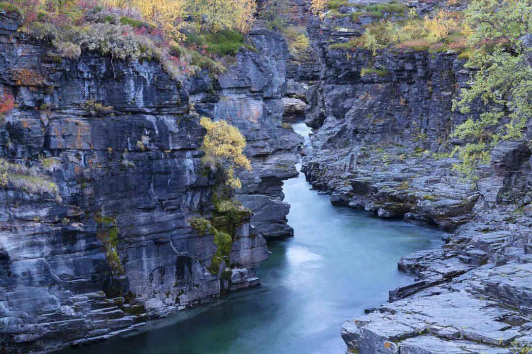 国际游学夏令营早起鸟火热报名！澳门新葡京网站2026新东方(图4)