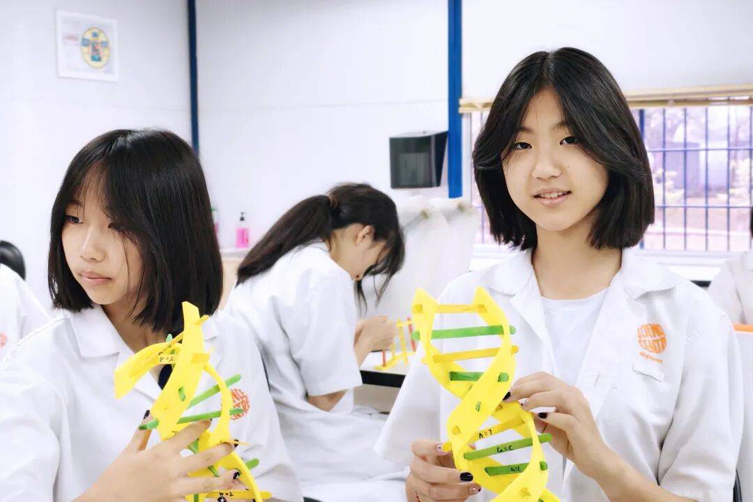 国际游学夏令营早起鸟火热报名！澳门新葡京网站2026新东方(图13)